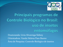 Principais programas de Controle Biológico no Brasil