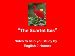 “The Scarlet Ibis”