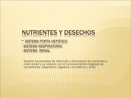 Nutrientes y desechos, 8vo 2014