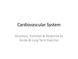 Cardiovascular-System-PowerPoint