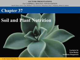 Plant Nutrition