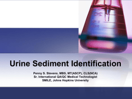 Per4.1-04 Urine Sediment Identification