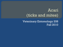 ticks and mites(www.mahmoudvand.