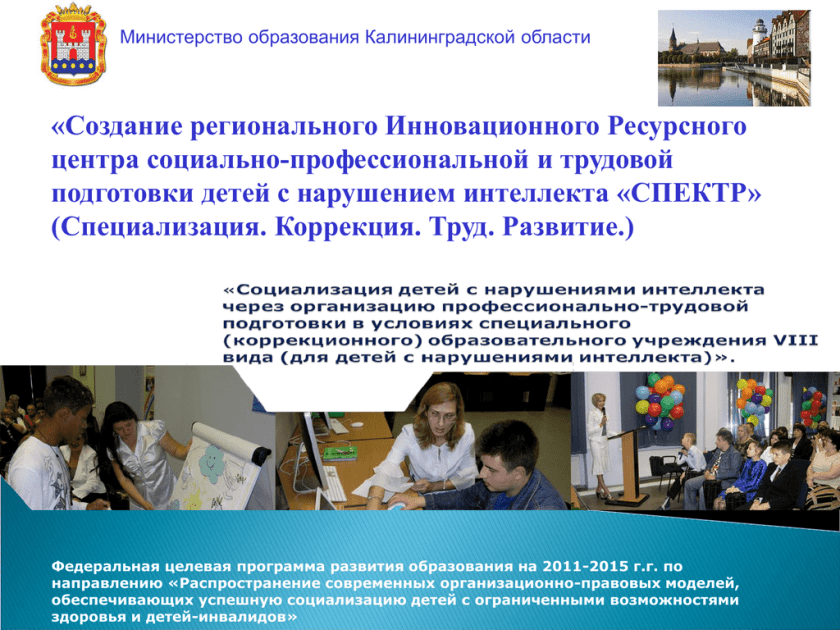 Региональная инновационная площадка Московской области. Труд коррекция. Программа для детей с нарушениями интеллекта