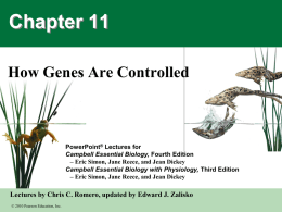 Lecture Slides