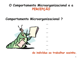 O Comportamento Microorganizacional e a PERCEPÇÃO