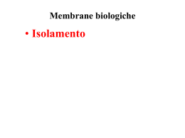 Membrane_biologiche