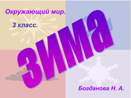 Времена года. Зима. Богданова Н.А., 266 шк.