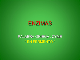 enzimas 1 y 2