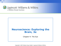 Lec #9_Vis periph - Biology Courses Server