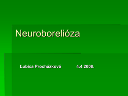 Neuroborelióza