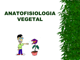 anatofisiologia_vegetal