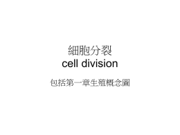 細胞分裂cell division