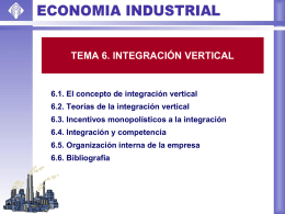 6.1. El concepto de integración vertical