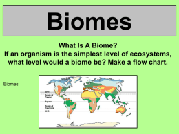 Biomes - jpsaos