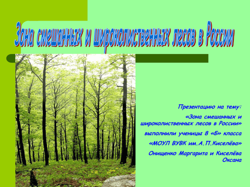 Смешанный лес факторы. Зона смешанных и широколиственных лесов России. Природные зоны России смешанные и широколиственные леса. Зона широколиственных лесов климат. Зона лесов смешанные широколиственные.