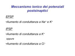 Diapositiva 1 - Appuntimedicina.it