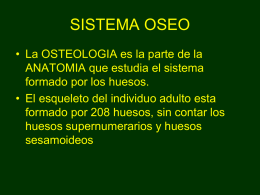 osteologia