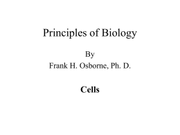 PPT