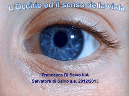 L`Occhio e il senso della vista