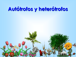 autotrofos_y_heterotrofos
