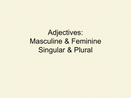 Adjectives: Masculine & Feminine Singular & Plural