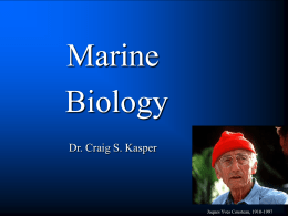 What is Marine Biology?