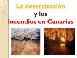 Desertizacion e incendios en Canarias