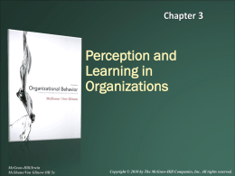 Introduction to the Field of Organizational Behavior