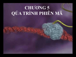 chuong5,6.Phienma+dichma