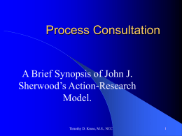 Process Consultation