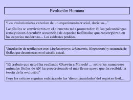 Clase 20 - Evolución humana