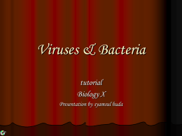 virus n bakteri sma - Follow “mblarah.wordpress.com”