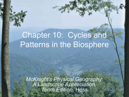 Chapter 10: Cycles and Patterns in the Biosphere