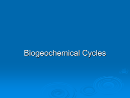 Biogeochemical cycles - Powell County Schools