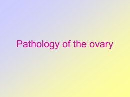 Pathology of the ovary.