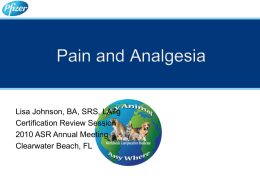 Pain and Analgesia - Lisa Johnson