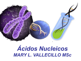 Acidos_Nucleicos - alumnosmedicinaunahvs