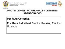 Protección Patrimonial. Estadísticas RUPTA. Patricia Palma.