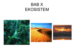 Bab 10. Ekosistem - Website Biologi Yuhayuyu