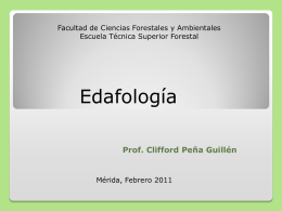 Edafologia_Genesis