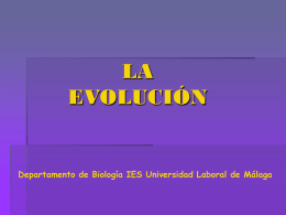 Evolucion - Universidad Laboral de Málaga