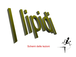 lipidi-1-ba