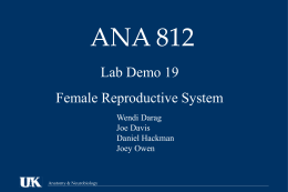 Lab Demo 19 Female Reproduction