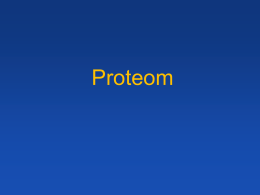 Transkriptom a proteom
