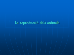 La reproducció dels animals Carles y Biel