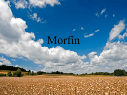Morfín - Webnode