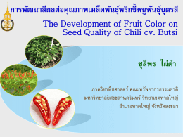 พริก - การประชุมวิชาการเมล็ดพันธุ์พืชแห่งชาติ ครั้งที่ 8