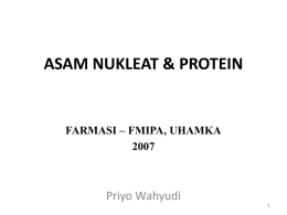 asam nukleat & protein