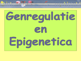 03 Genregulatie en epigenetica